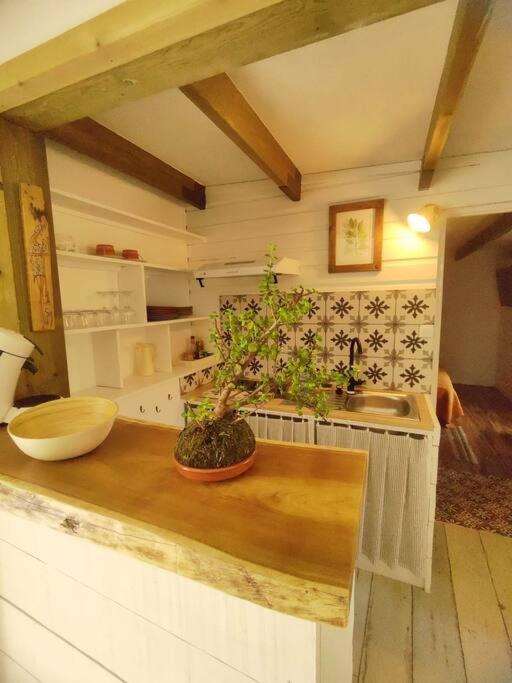 La Guillaumette Apartman Saint-Paul Kültér fotó